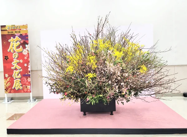 イオンモール川口前川・サイボーホール
第64回川口市花の文化展花き共進会　いけばな展示