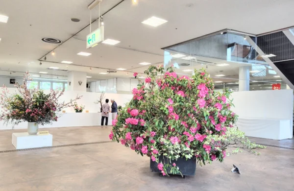 第99回川口緑化センター春の安行花植木まつり
いけばな展示